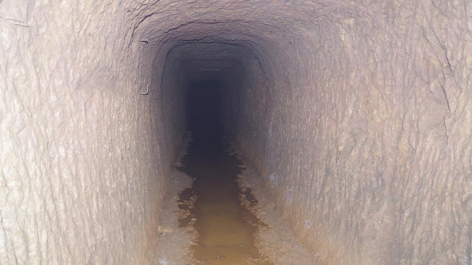 One of the shafts at the Old Pigg's Peak Mine.