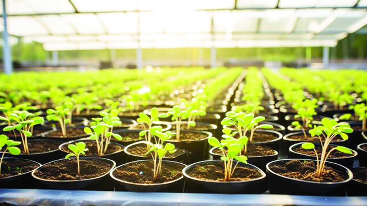 How to choose a garden irrigation system