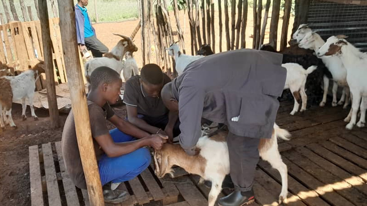 Farming journey rooted in resilience, passion