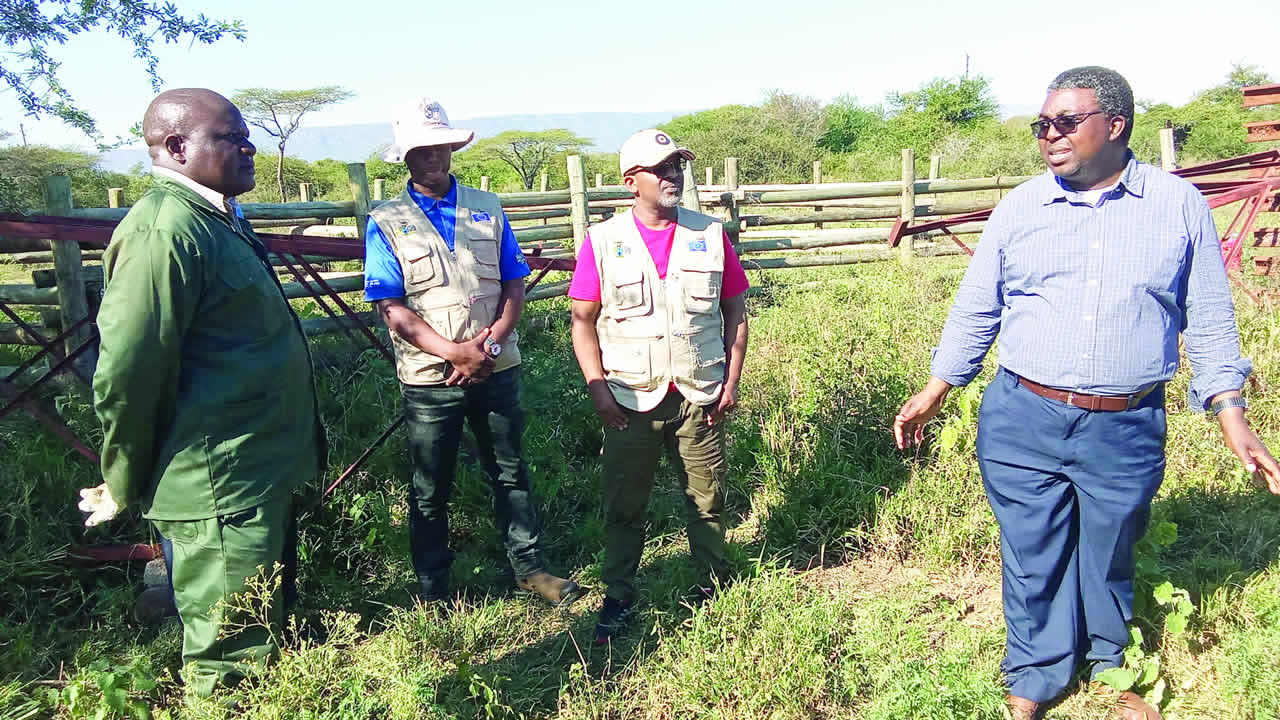 FMD vaccine offers fresh hope for livestock farmers