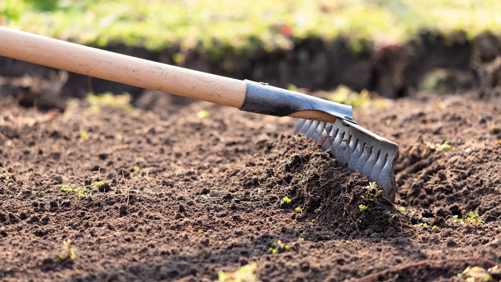 After a long, dormant winter season, the land needs our care to thrive once again.