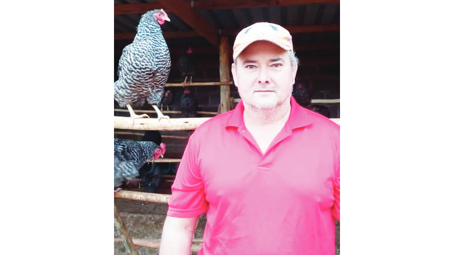 Derek Braithwaite started rearing the Koekoeks in 2021 around November with 200 chicks and has since doubled his production and getting between 900 and 1 000 fertilised eggs per week.