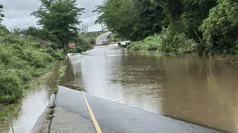 The growth of vegetation on the roadway far overtakes the capacity and opportunity to clear it for visibility.