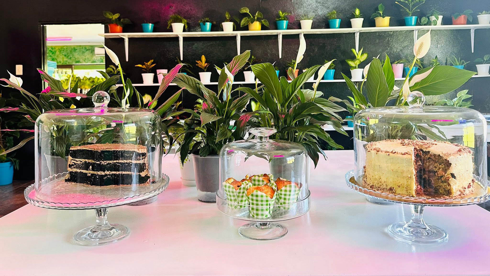 Decadent delights surrounded by lush living. Which crowd-favourite cake will you choose - chocolate or carrot?