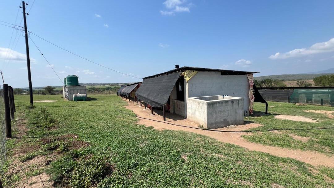 More infrastructure on-site including clinic/hospital with 4 pens for specialised care.