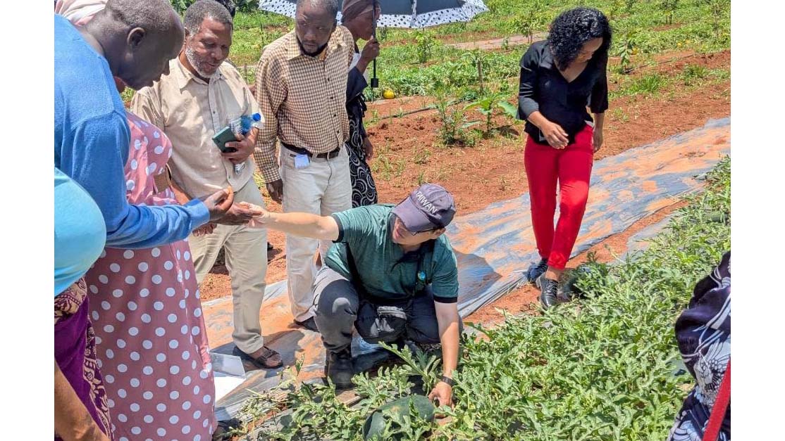 At the demonstration field, Cheng introduced six different mini watermelon varieties, highlighting their differences and cultivation advantages to participating farmers.