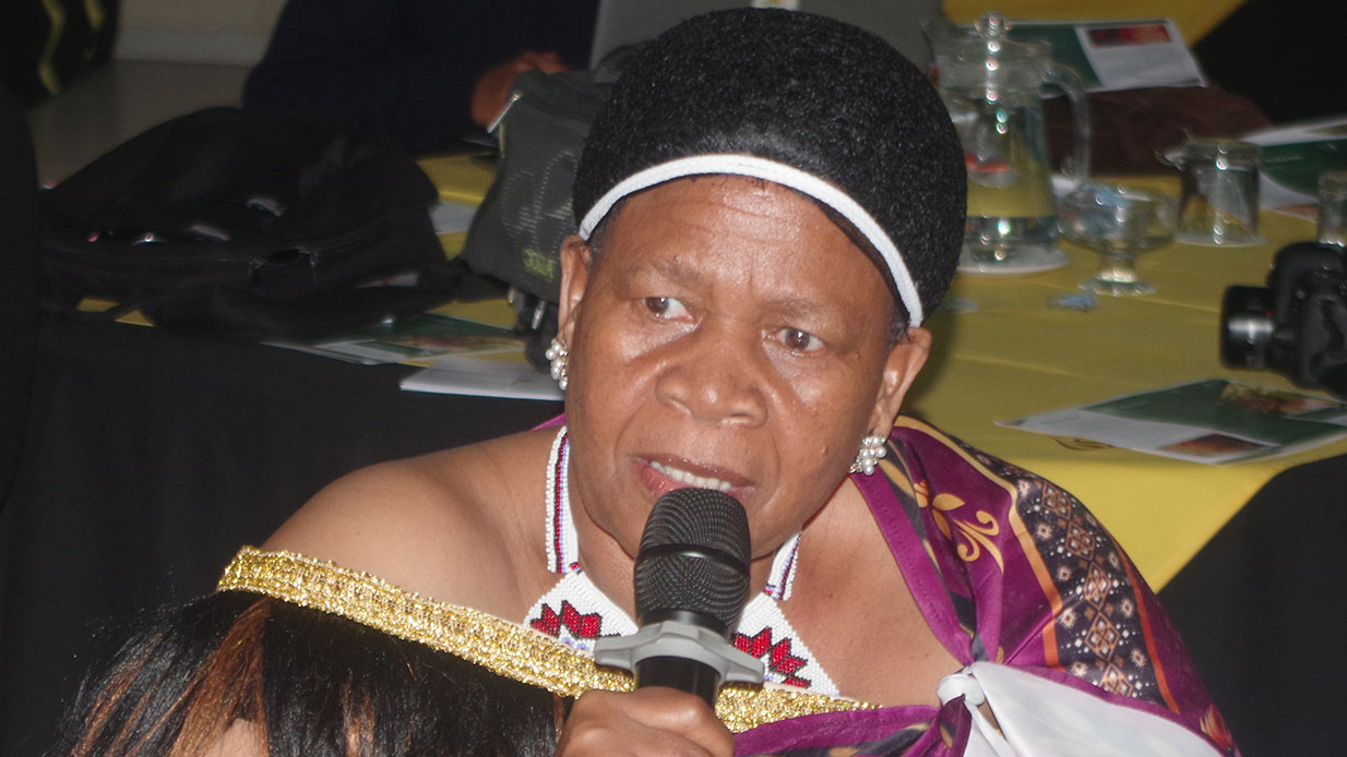 Senator Tsembeni Magongo felt that anything irrelevant to Eswatini should be removed in the report as such makes the country appear to be among those with more violence against women and girls.