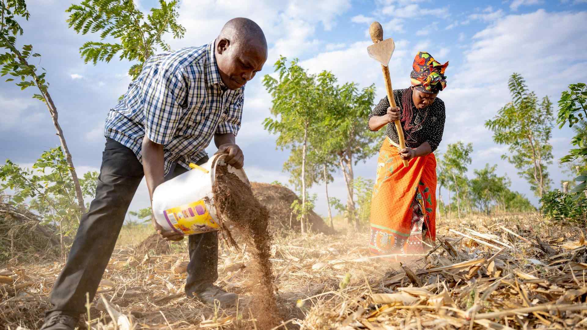 Eswatini seeks to mobilise investments for agri-food systems