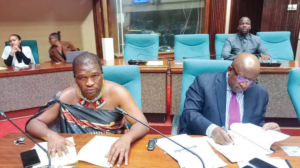 E89m lost through emergency drugs procurement - deputy speaker