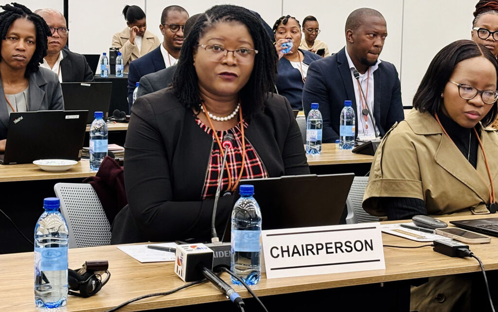 Chairperson of the Committee of Central Bank Governors (CCBG) Subcommittee on Banking Supervision and Financial Stability and Director - Prudential Supervision, Bank of Zambia Lyness Mambo.