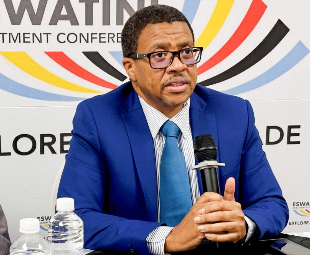 Eswatini Investments Promotion Authority CEO Sibani Mngomezulu. (File pic)
