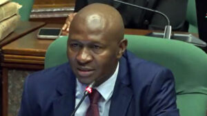 Funduzi Forensic Services Director Zakhele Dlamini presenting a preamble of the report into the recall of medical drugs.
