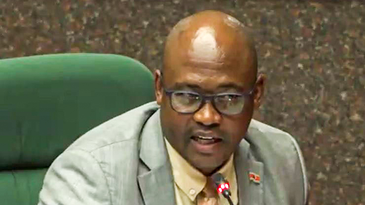 Nhlambeni MP and PAC Deputy Chairperson Manzi Zwane making a submission.