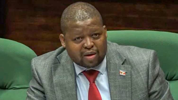Auditor General Timothy Matsebula.