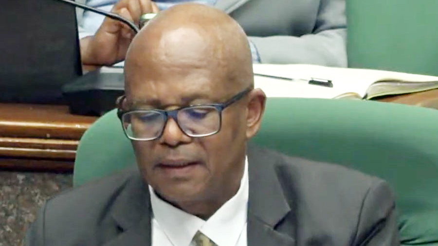 Principal Secretary in the Ministry of Health, Khanyakwezwe Mabuza explains a point during the appearance before the PAC.