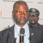 Agriculture Minister Mandla Tshawuka. (File pic)