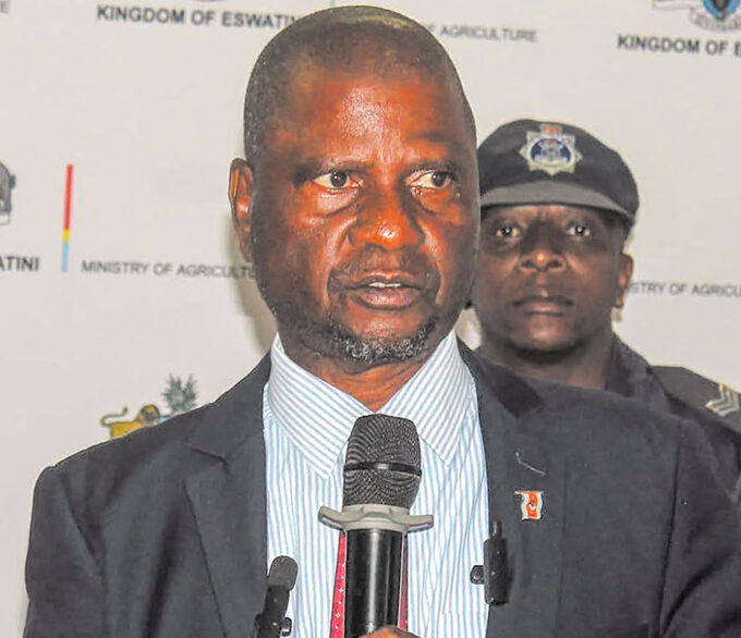 Agriculture Minister Mandla Tshawuka. (File pic)