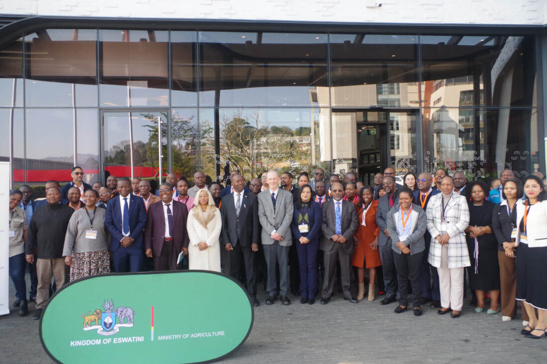 Eswatini can recover from the Foot and Mouth Disease (FMD) outbreak that cost it lucrative export markets, but only through stronger regional cooperation and investment in animal health systems.