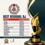 The final list of the best DJ category nominees.