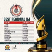 The final list of the best DJ category nominees.