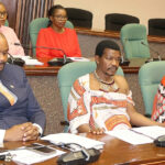 Senators during a portfolio committee debate. (File pic)