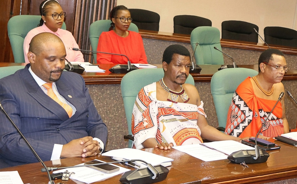 Senators during a portfolio committee debate. (File pic)