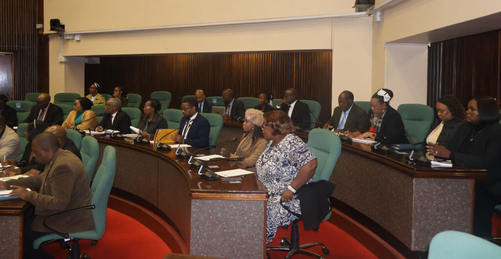 Some of the senior management officers from parastatals under the Ministry of Natural Resources and Energy pictured in Parliament yesterday.