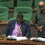 Lobamba Lomdzala MP Marwick Khumalo making his submission during the portfolio committee debate yesterday.