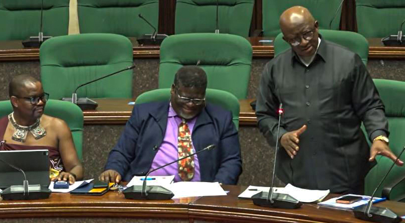 Lobamba Lomdzala MP Marwick Khumalo making his submission during the portfolio committee debate yesterday.