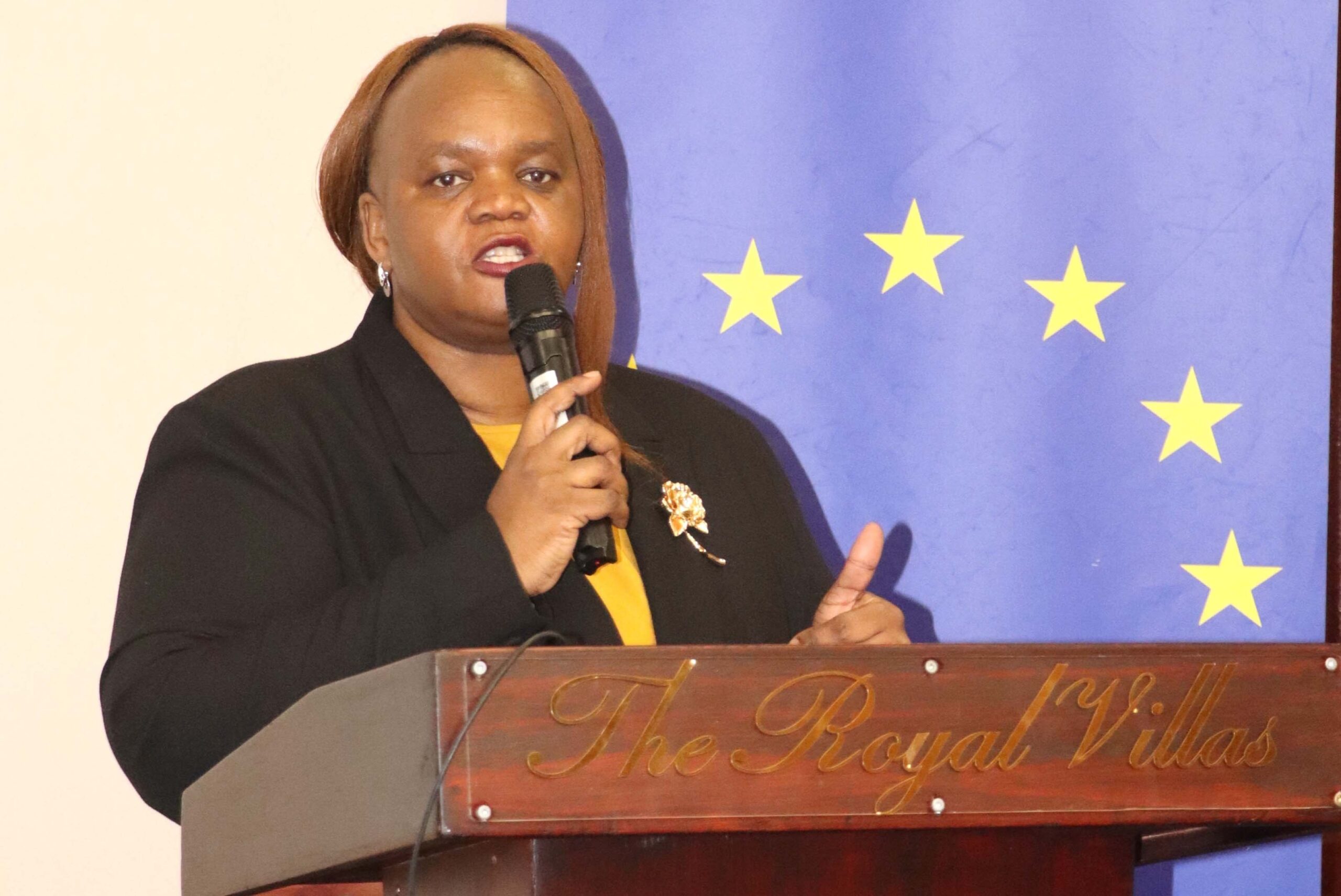 EU, ITC back Eswatini export growth roadmap