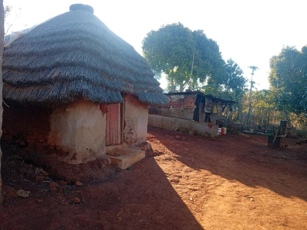 The deceased 80-year-old Mefika Gamedze’s homestead at Mhlabubovu, Maphungwane.