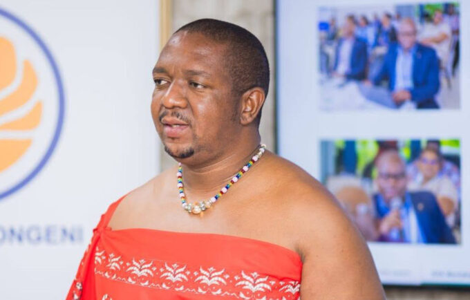Minister for Labour and Social Security, Phila Buthelezi. (Courtesy pic)