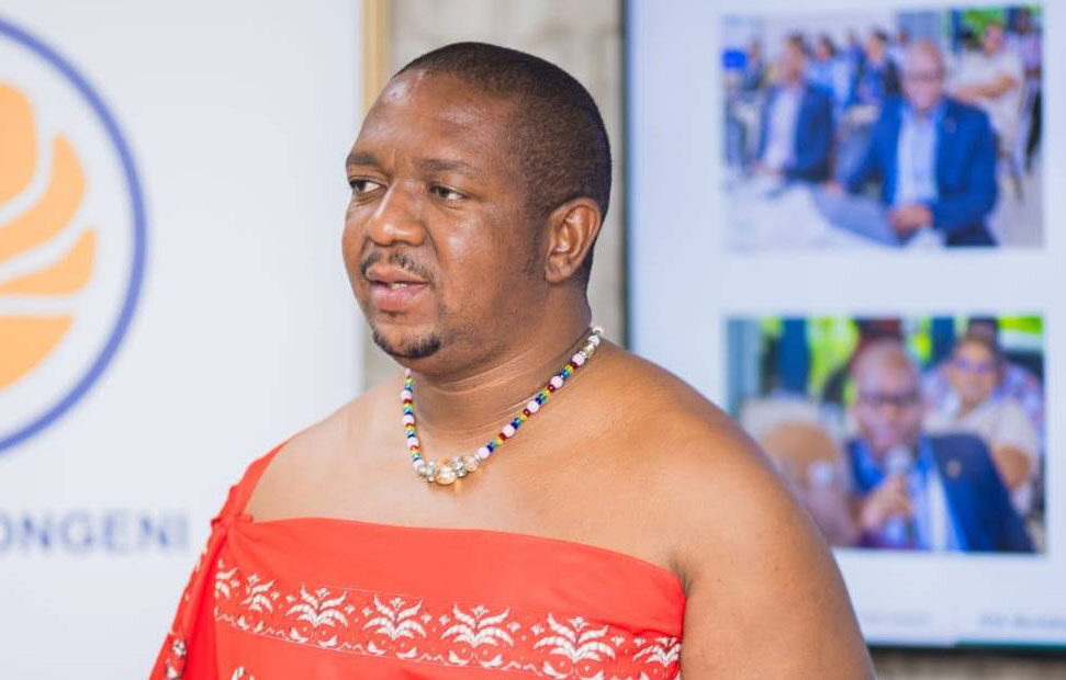Minister for Labour and Social Security, Phila Buthelezi. (Courtesy pic)
