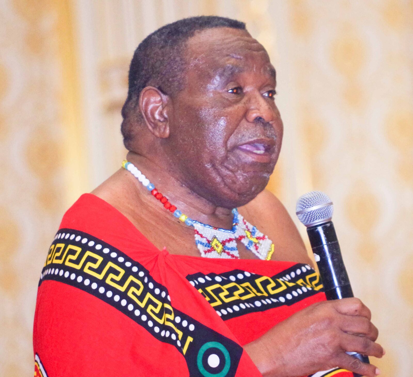 Senator Isaac Magagula asked what was being done to prevent minors from accessing social media platforms that expose them to harmful content. (File pic)