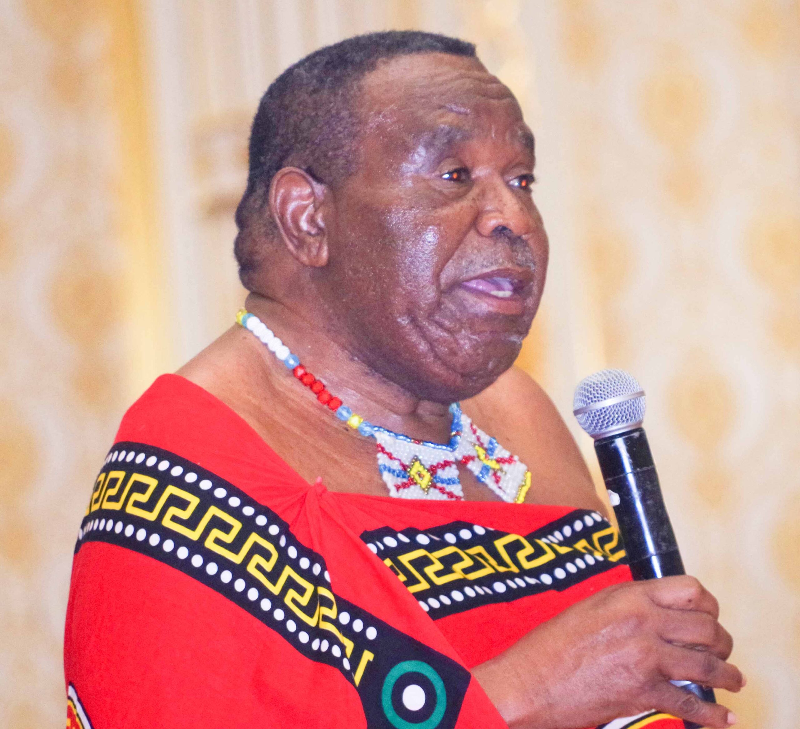 Eswatini eyes curbing children’s social media access
