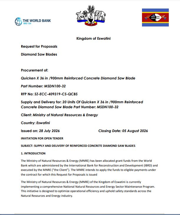 The fraudulent tender document circulating in the name of the Ministry of Natural Resources and Energy.