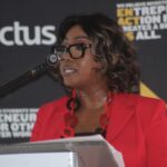 Minister for Information, Communication and Technology Savannah Maziya.