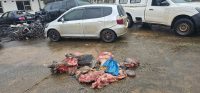 A 58-year-old Shewula man has been arrested in connection with a stock theft.