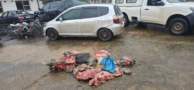 A 58-year-old Shewula man has been arrested in connection with a stock theft.