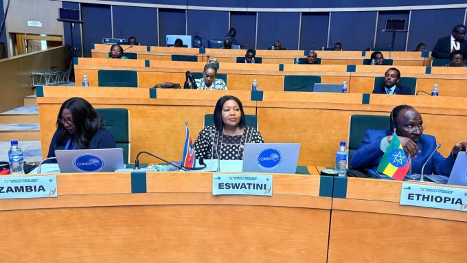Minister for Foreign Affairs and International Cooperation Pholile Shakantu.